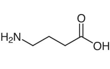 Gamma Aminobutyric Acid